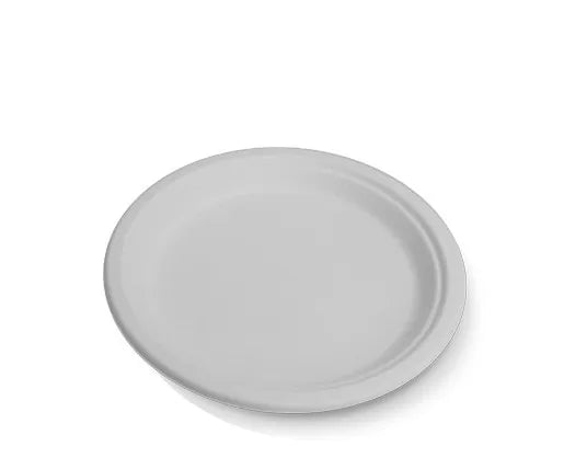 9" Round Foam Plate 500 PCS  | Disposable Plate for Food Service